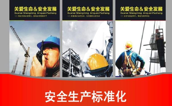 安全生產(chǎn)標(biāo)準(zhǔn)化八個一級要素基本要求，你知道幾個?